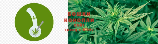 стаф Богородицк