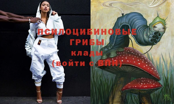 стаф Богородицк