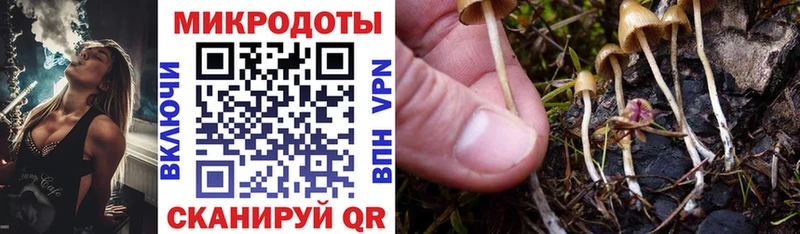 Галлюциногенные грибы Magic Shrooms  Саяногорск 